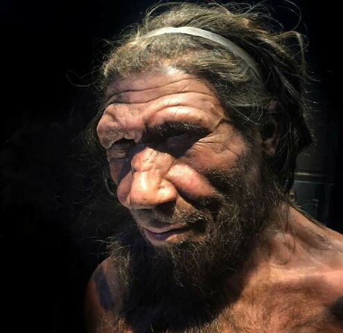 1st Homo sapiens  23:59 h