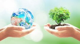 Timeline: La Ecología Humana