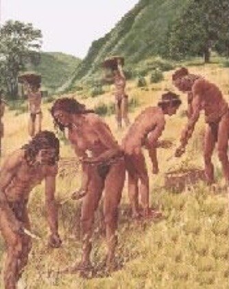 Evolución de los alimentos