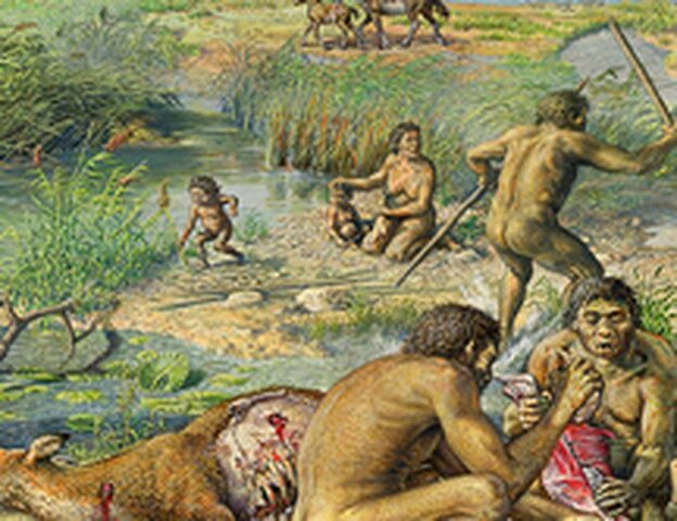 1st hominids 23:53 h