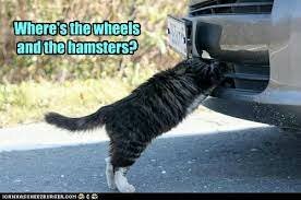 The internal-combustion engine and the automobile was made