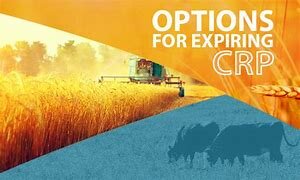 The food security act of 1985