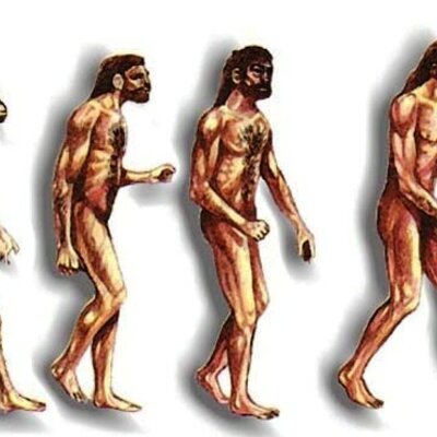 Timeline: etapes de la historia i la seva cronologia