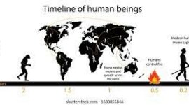 Timeline: Les etapes de l'historia