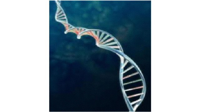 Conclusão do Projeto Genoma Humano.