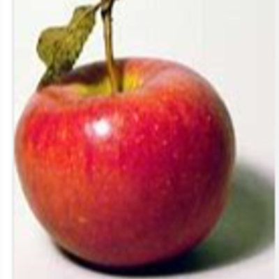 Timeline: Growth timeline