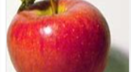 Timeline: Growth timeline