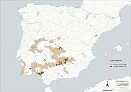 Distribución del lince ibérico