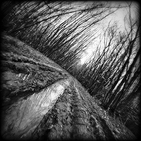 Escaping to Calfinia