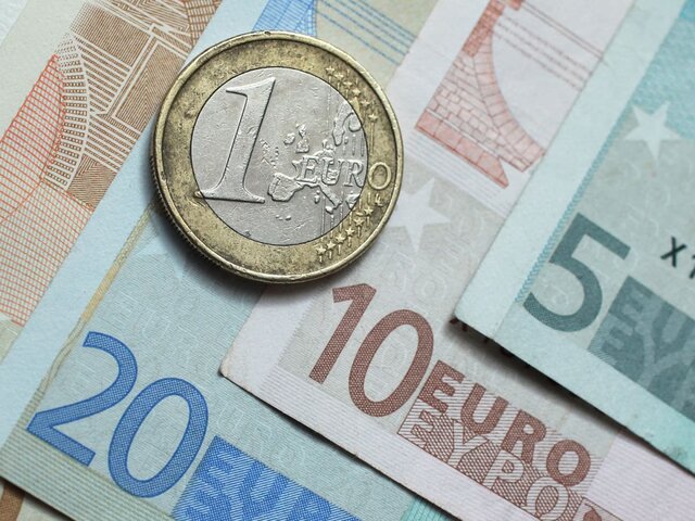 The euro