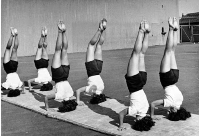 La educación fisica obtiene mayor relevancia