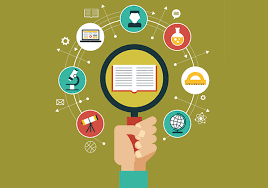 Magister profesional