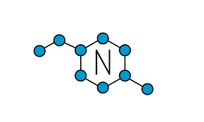 NITRÓGENO COMO NOMBRE