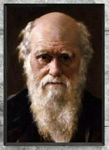 CHARLES DARWIN