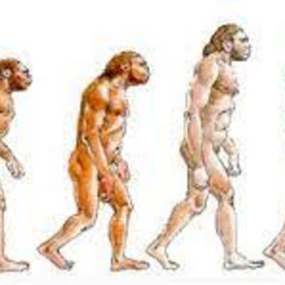 Timeline: PREHISTORIA