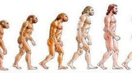 Timeline: PREHISTORIA