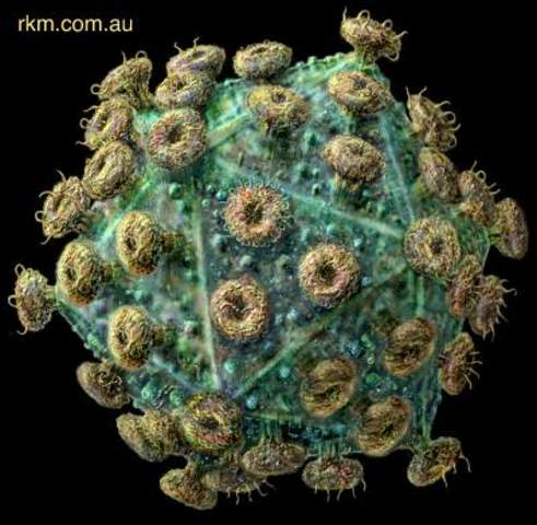 Barre-Sinoussi and Montagnier HIV