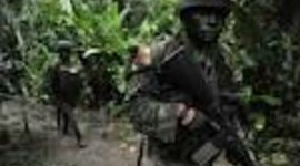 Timeline: Enfrentamiento Armado.