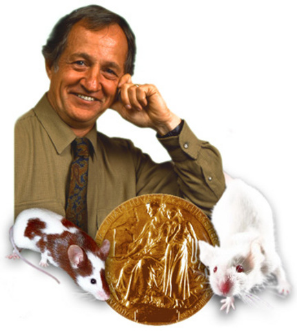 Capecchi Gene Transfer