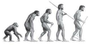 1st Homo sapiens→ 23:59 h