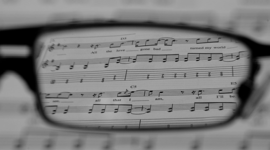 Timeline: 5 year plan