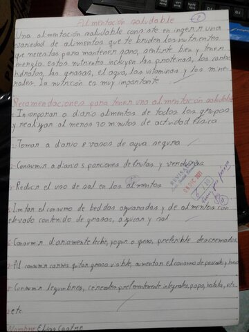 Lengua y literatura