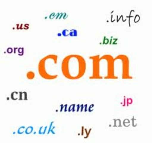 Domain Name System (DNS)