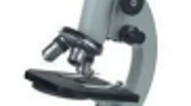 Timeline: История создания микроскопа