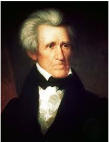 Andrew Jackson Elected