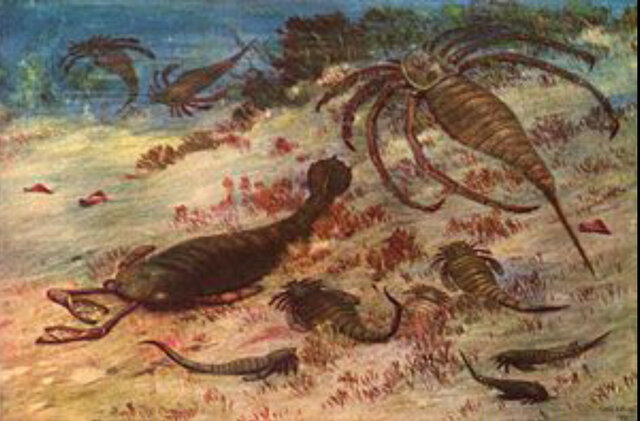 Primera gran extinción.