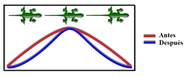 Selección Natural Estabilizadora