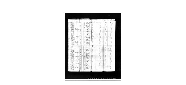 The Patzer's Immigrate to America