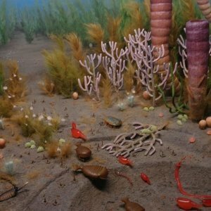 Flora del periodo silurico