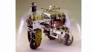 Tortue Cybernétique