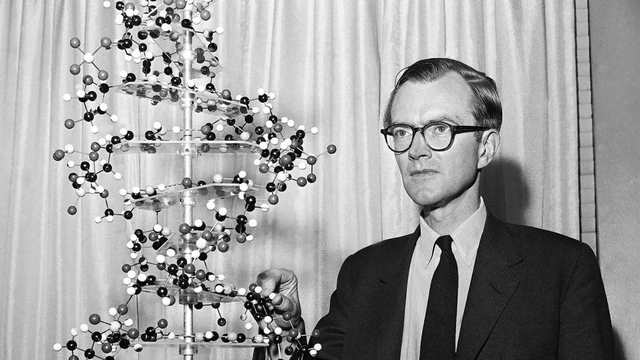 Wilkins y Franklingh