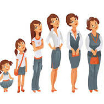 Timeline: Fase postnatal del desarrollo