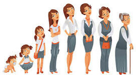 Timeline: Fase postnatal del desarrollo