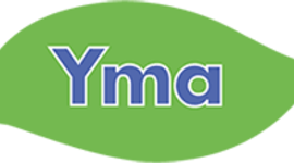 Timeline: YMA
