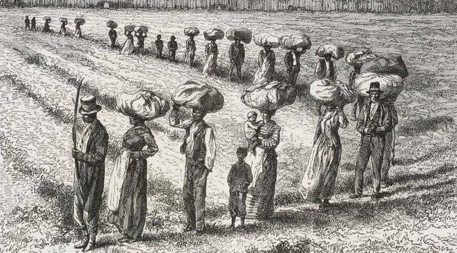 Slaves Transported to America