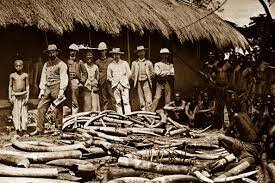 The Belgium Congo was Established