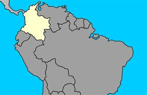 Primer Caso Covid 19