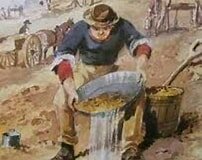 Australian gold rush