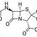 Penicillin is developed