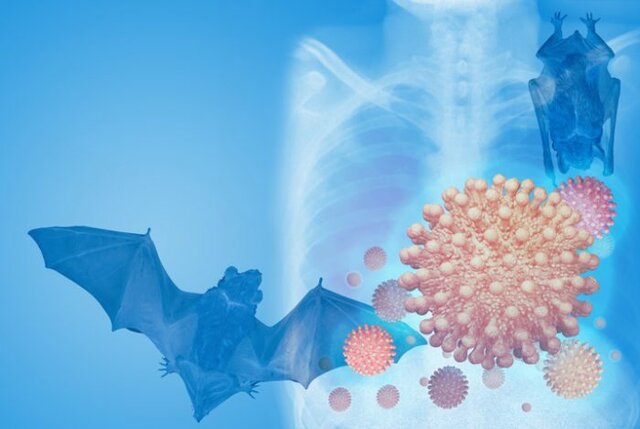 Origen de la pandemia