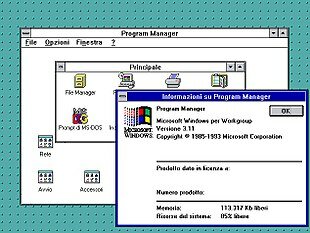 Windows 3.0