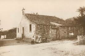 Canaris (Gran Canarias)