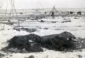 Wounded Knee Creek Massacre