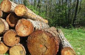 Le commerce avec la Grande-Bretagne