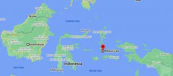 Columbus perched king of Portugal to get to spice islands