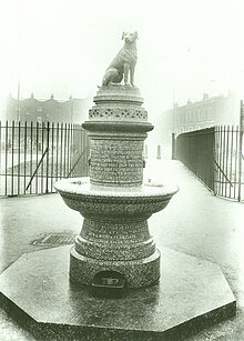 Brown Dog Affair (1903 - March 1910)